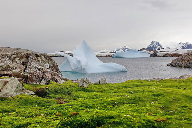В Антарктиде температура взлетела до рекордных значений