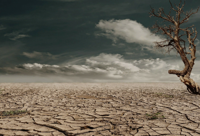 Засуха на Западе США признана самой сильной за 1200 лет