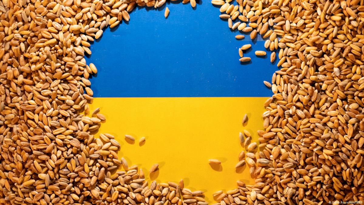 Agricultural giants are in danger: Hungary maintains a ban on Ukrainian grain