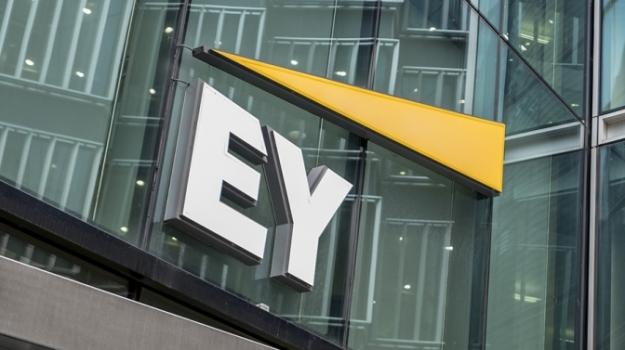 Auditor Ernst & Young criticized the NBU because of government bonds