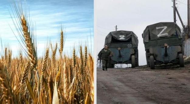 Russians stole about 4 million tons of grain from Ukraine – association