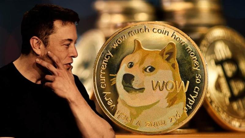 Musk advised investors not to buy cryptocurrencies, including Dogecoin