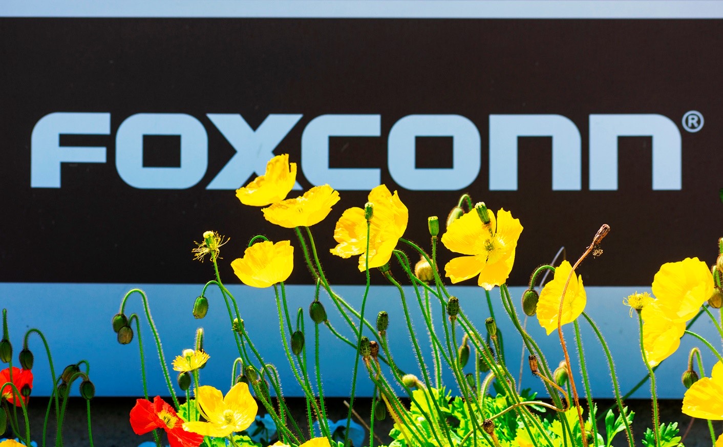 Quarterly profit of Apple supplier Foxconn fell by 56%