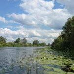 Забруднення річки Сейм