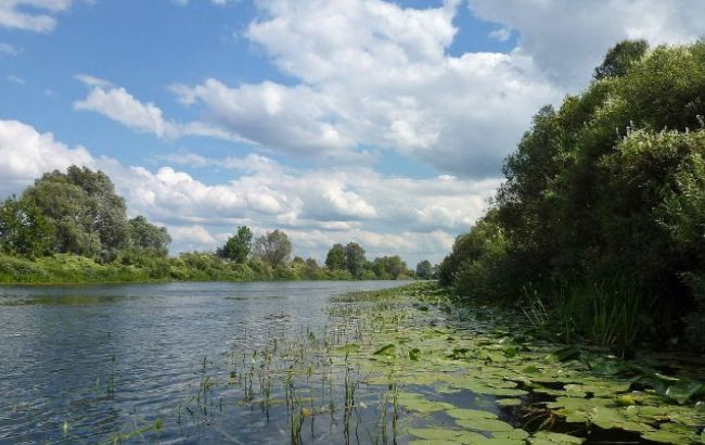 Забруднення річки Сейм