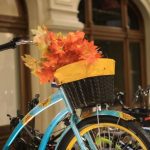 Велосипед з листям