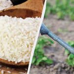 Ілюстративне фото