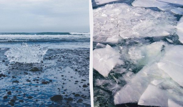 Арктичний лід