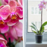 Ілюстративне фото