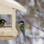 Погода 18 січня в Україні: субота з теплом і легкими опадами вночі