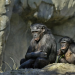 Ілюстративне фото