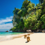 Ілюстративне фото