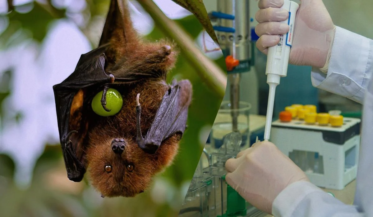 Ілюстративне фото