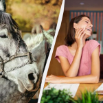 Ілюстративне фото