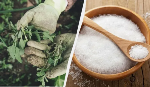 Ілюстративне фото