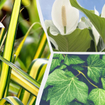 Ілюстративне фото