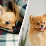 Ілюстративне фото