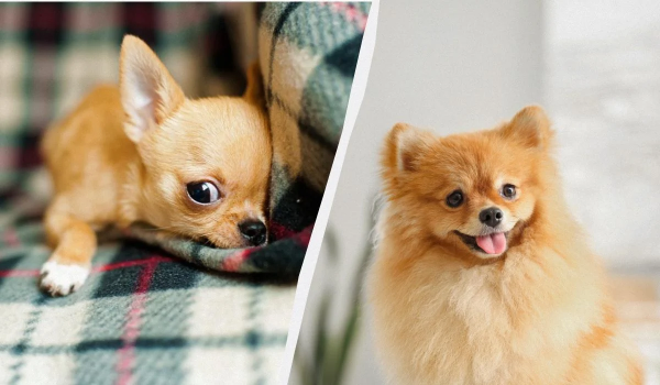 Ілюстративне фото