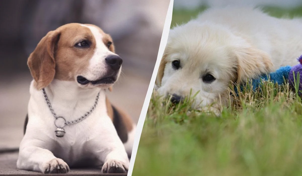 Ілюстративне фото