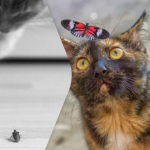 Ілюстративне фото