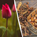 Ілюстративне фото