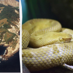 Ілюстративне фото