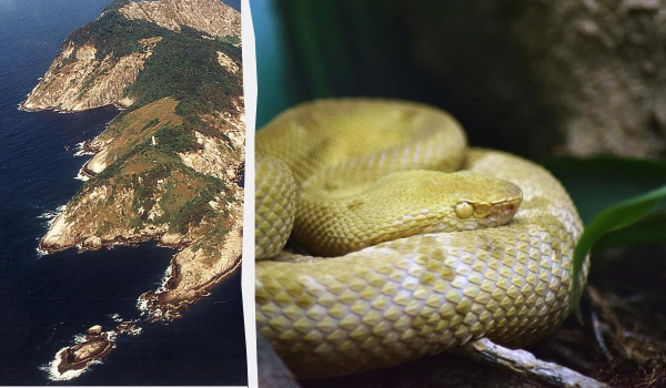 Ілюстративне фото