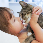 Ілюстративне фото