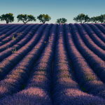 Ілюстративне фото