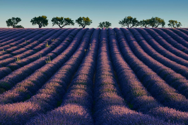 Ілюстративне фото