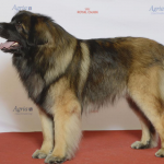 Ілюстративне фото