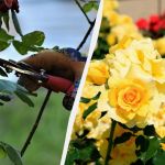 Ілюстративне фото