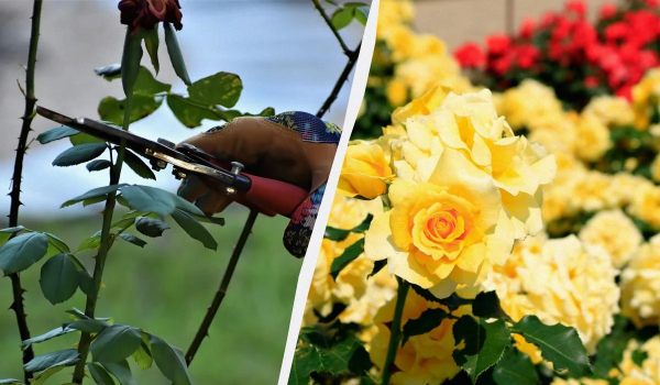 Ілюстративне фото