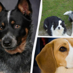 Ілюстративне фото