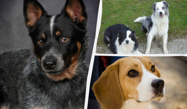 Ілюстративне фото