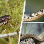 Ілюстративне фото