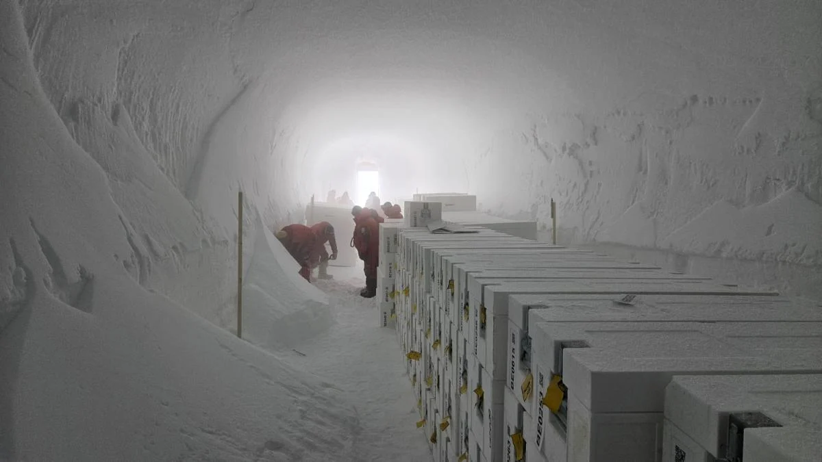 Ілюстративне фото