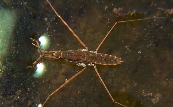 Ілюстративне фото