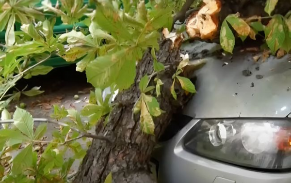 Ілюстративне фото