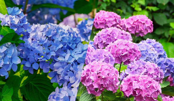 Ілюстративне фото