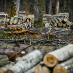 Ілюстративне фото