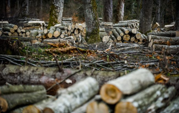 Ілюстративне фото