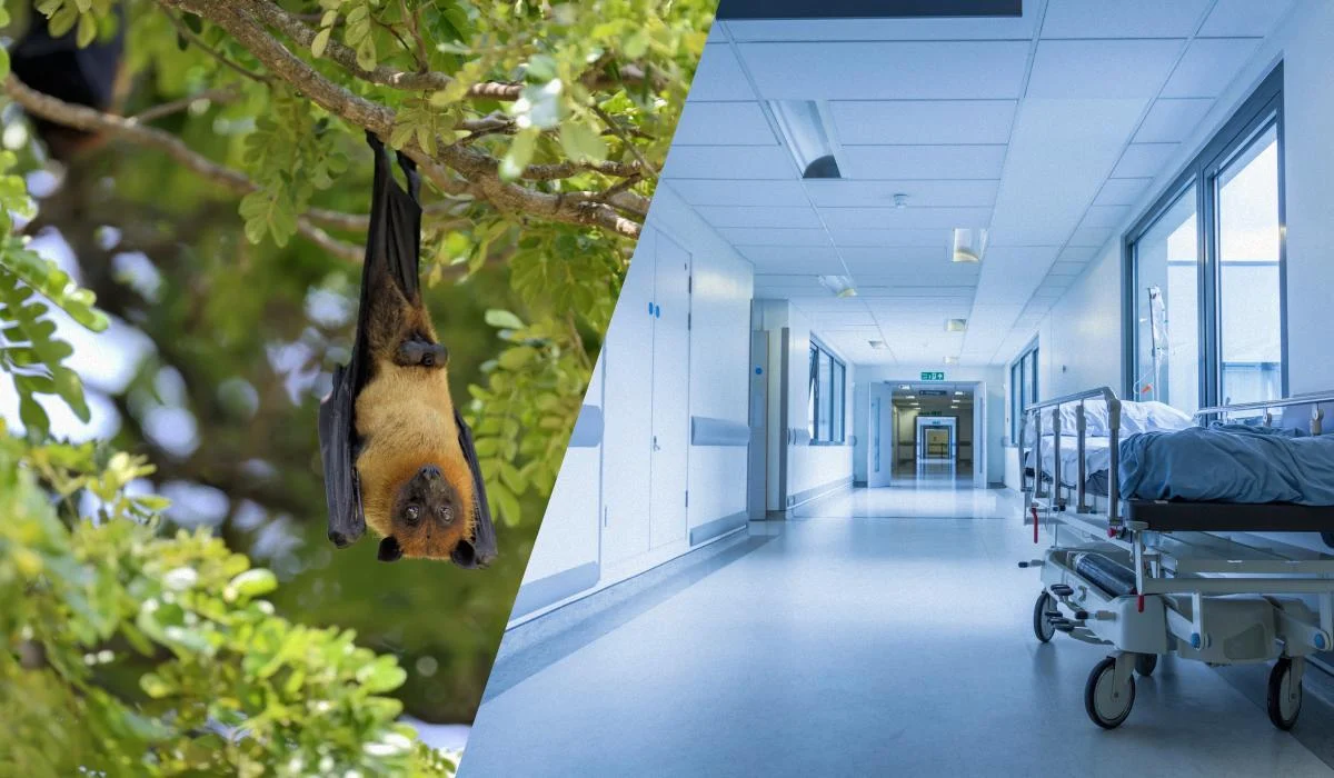 Ілюстративне фото