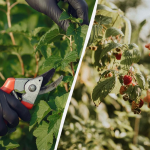 Ілюстративне фото