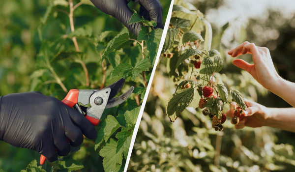 Ілюстративне фото