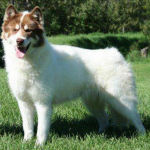 Ілюстративне фото