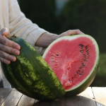 Ілюстративне фото