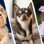 Ілюстративне фото