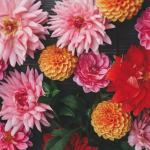 Ілюстративне фото