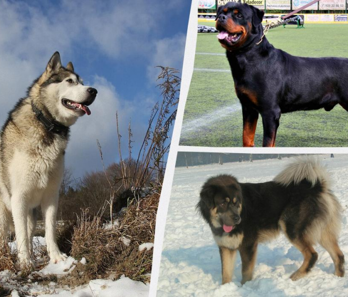 Ілюстративне фото